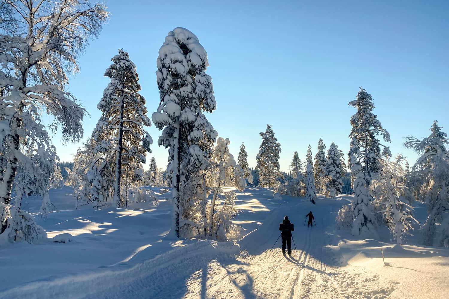 Turalternativer i Drammensmarka | Drammen kommune