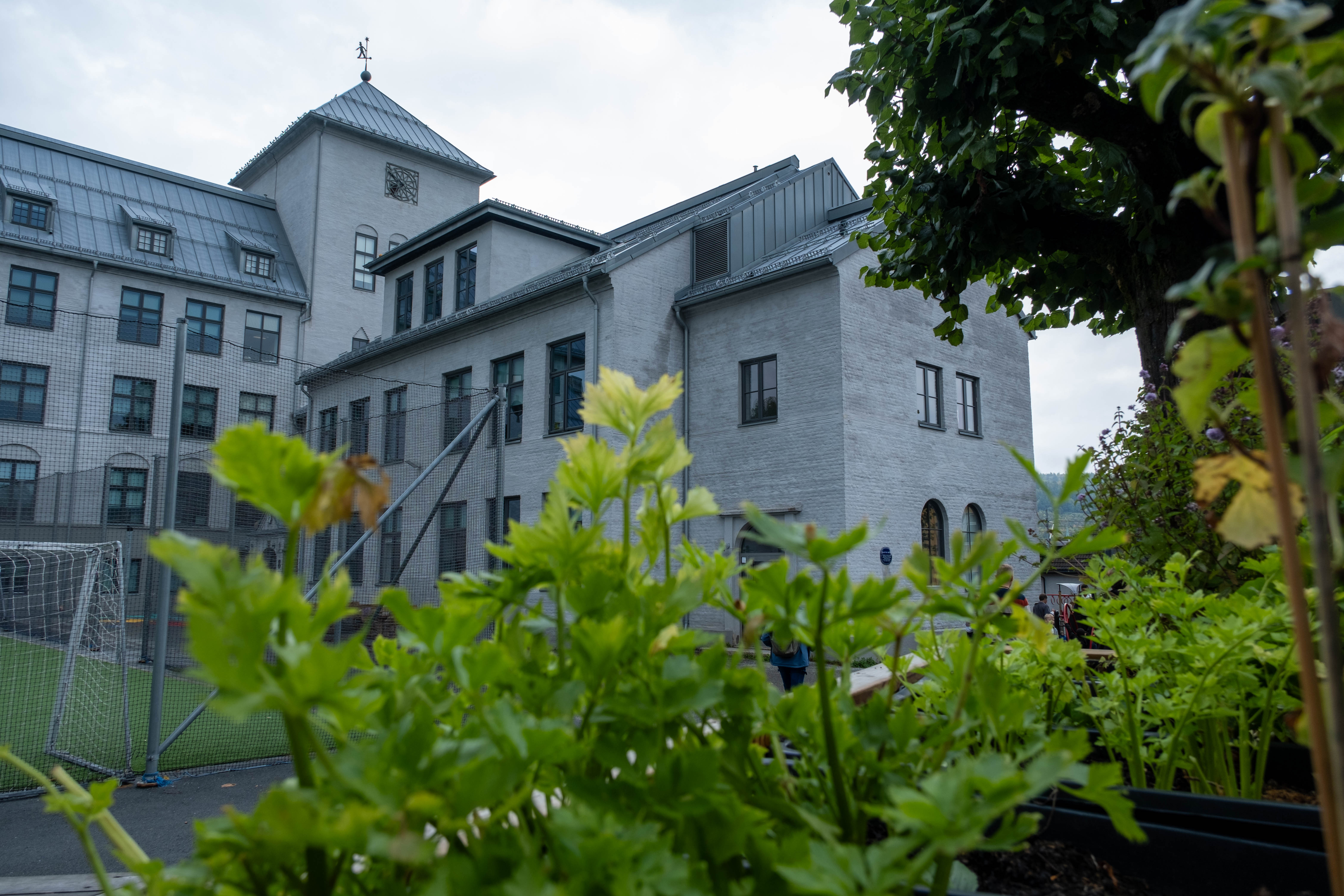 grønne planter i pallekarmer i forgrunnen av Danvik skole