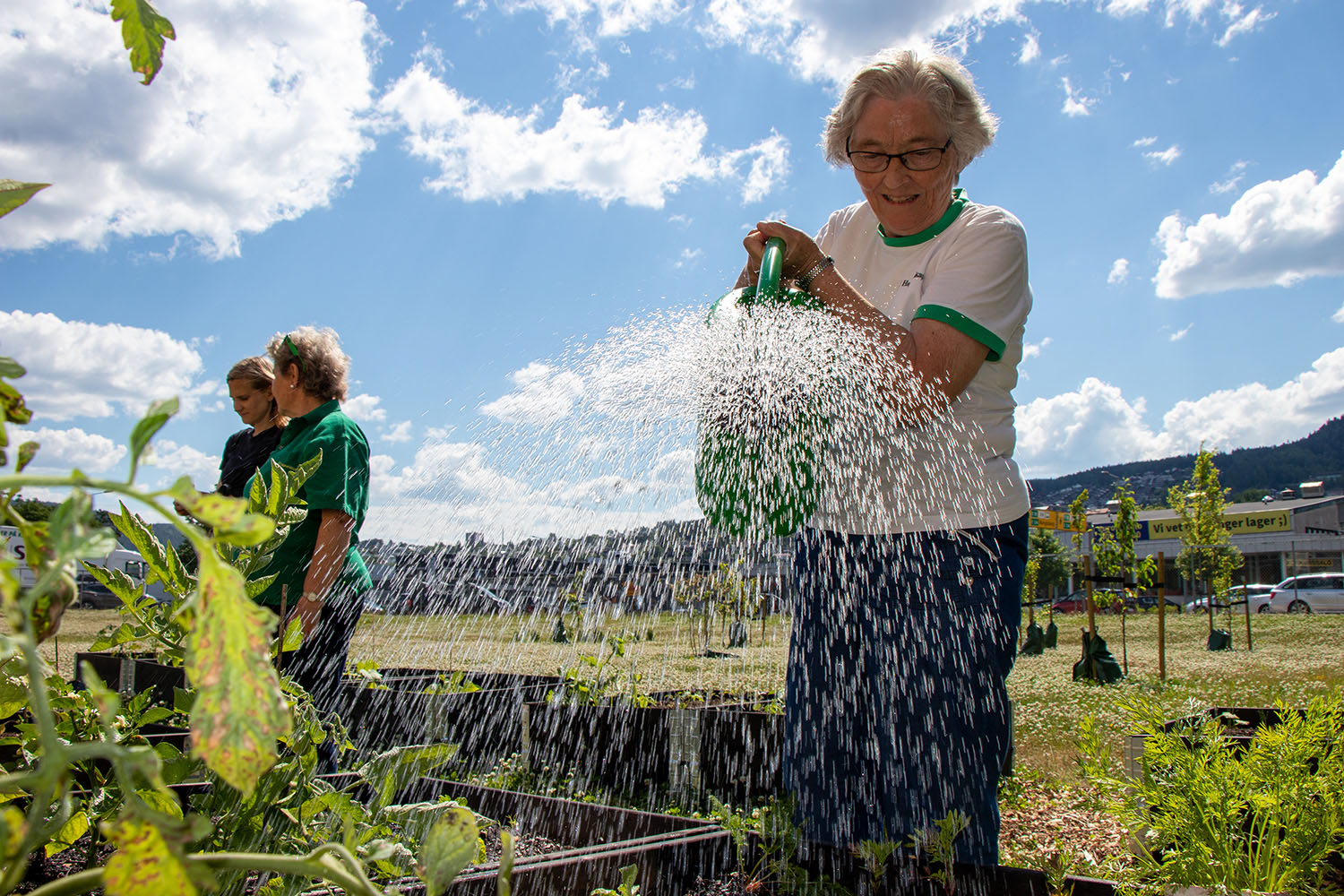 Eldre dame som vanner planter i en pallekarm.